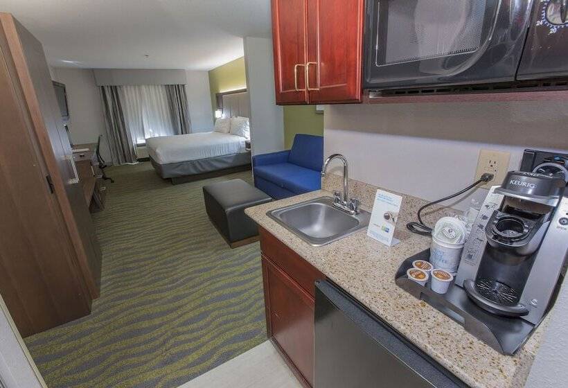 Holiday Inn Express Hotel & Suites Mcdonough, An Ihg