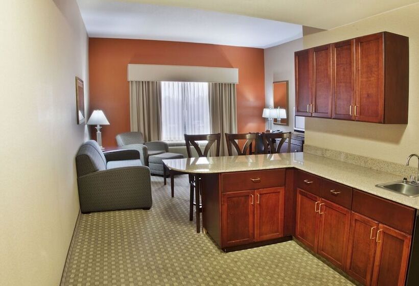 Holiday Inn Express Hotel & Suites Mcdonough, An Ihg