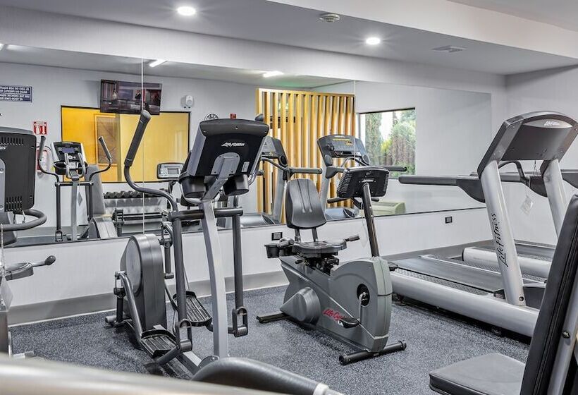 هتل Holiday Inn Express Chihuahua, An Ihg