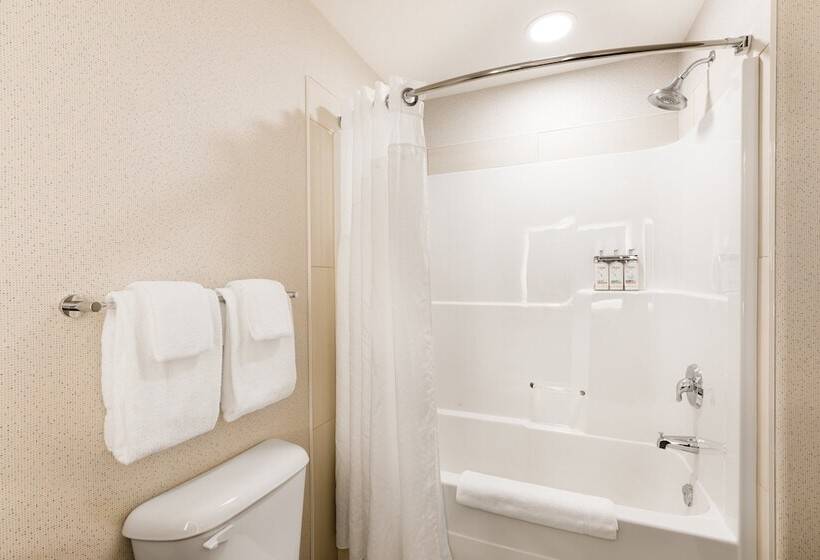 فندق Holiday Inn Express Grande Prairie, An Ihg