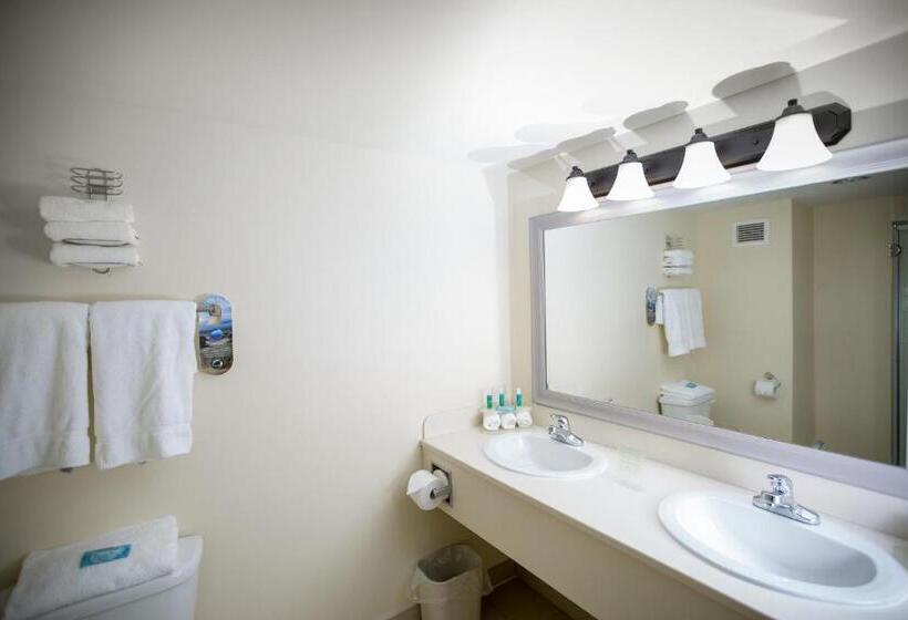 Отель Holiday Inn Express Stellarton New Glasgow, An Ihg