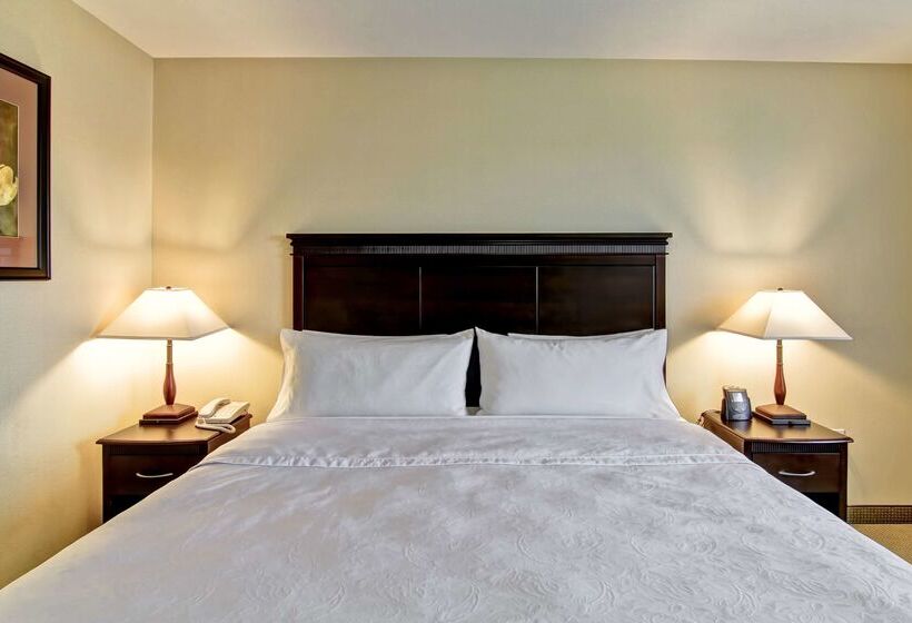 فندق Homewood Suites By Hilton Sudbury