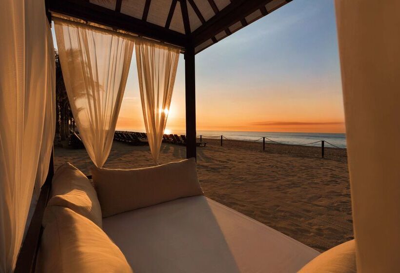 酒店 Hyatt Ziva Los Cabos  All Inclusive