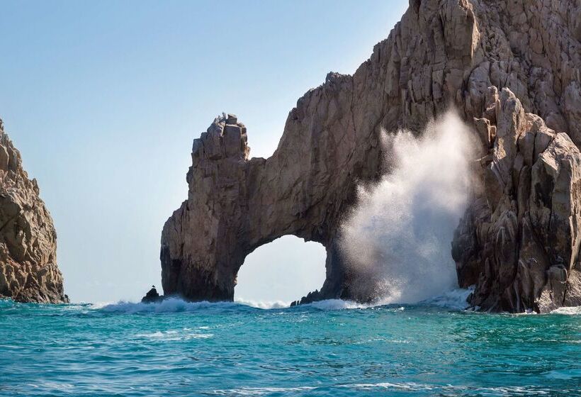 酒店 Hyatt Ziva Los Cabos  All Inclusive