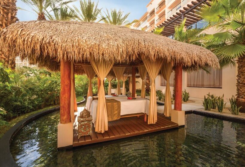 酒店 Hyatt Ziva Los Cabos  All Inclusive