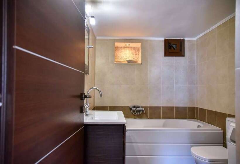 ホテル Iraklis Studios & Apartments