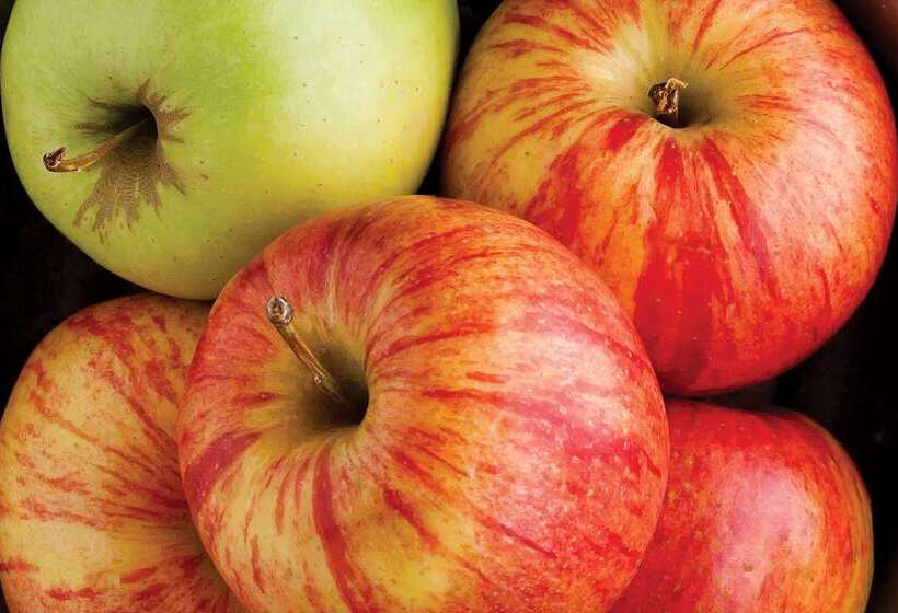 ホテル La Quinta By Wyndham Cincinnati Airport Florence