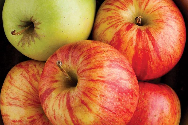 ホテル La Quinta By Wyndham Cincinnati Airport Florence