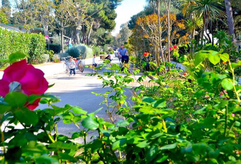 Отель La Serra Resort Italy Village