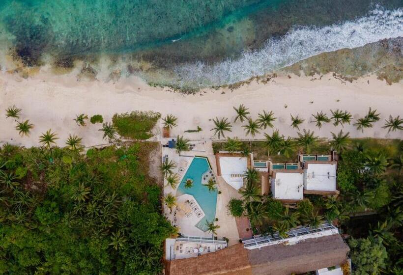 The Beachfront by The Fives Hotels - All Inclusive - Adults Only