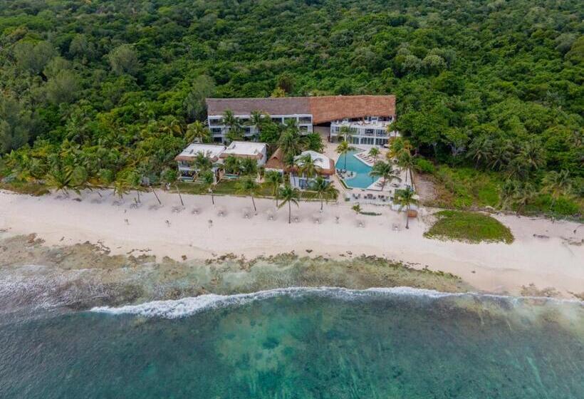 The Beachfront by The Fives Hotels - All Inclusive - Adults Only