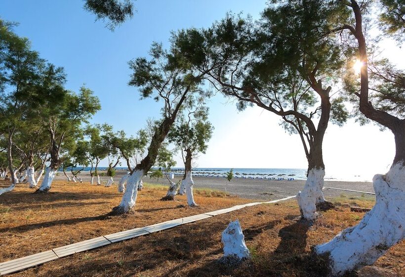 호텔 Memories Beach