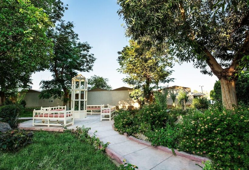 Obelisk Nile Hotel Aswan