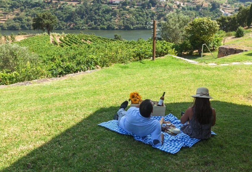 فندق ريفى Douro Palace Hotel Resort & Spa