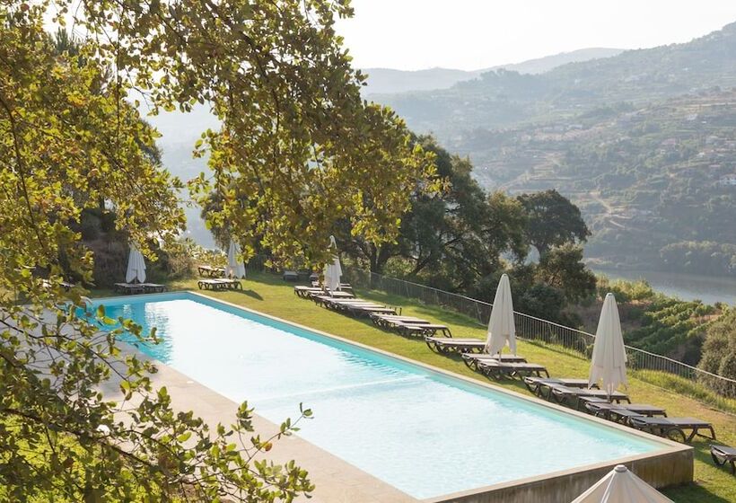 فندق ريفى Douro Palace Hotel Resort & Spa