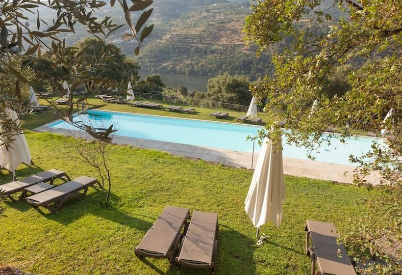 فندق ريفى Douro Palace Hotel Resort & Spa
