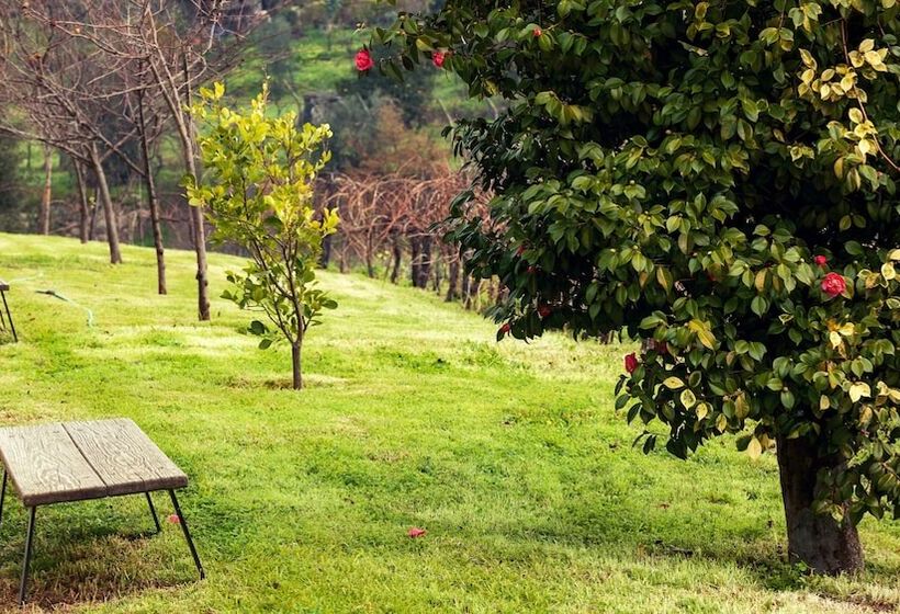 فندق ريفى Douro Palace Hotel Resort & Spa