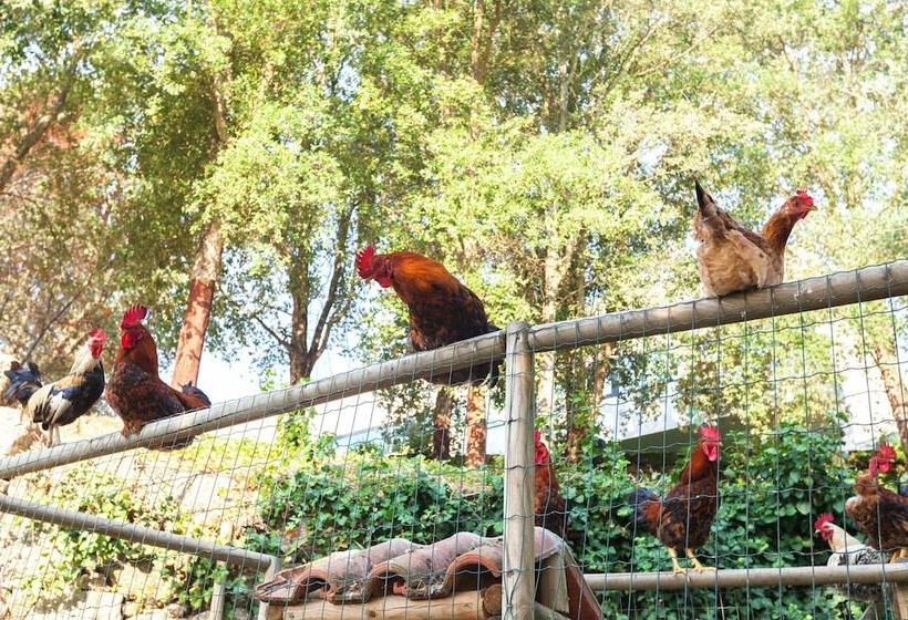 فندق ريفى Douro Palace Hotel Resort & Spa