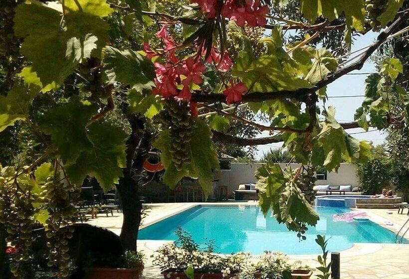 בית מלון כפרי Saily Beach