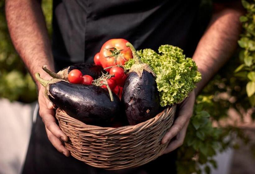 San Antonio   Small Luxury Hotels Of The World