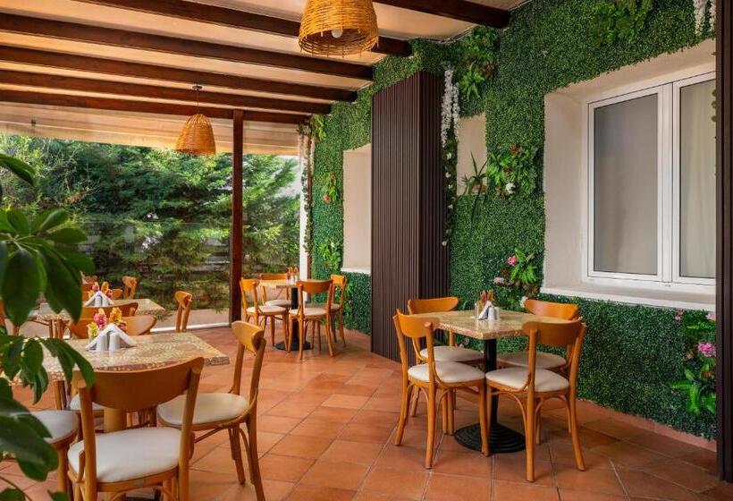 酒店 City Plus Rhodes