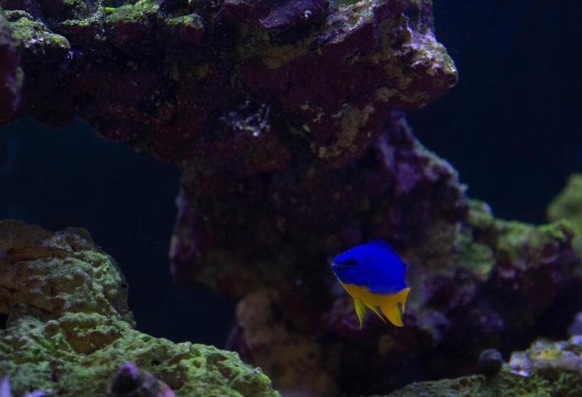 ホテル Travelodge By Wyndham Roberval