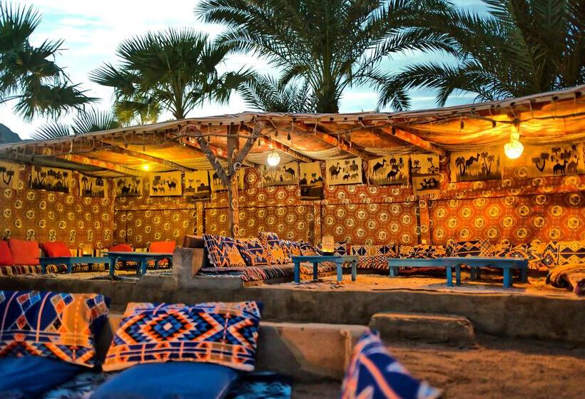 هتل Tropitel Dahab Oasis