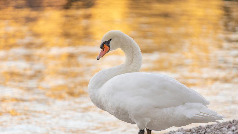 호텔 Val Di Sogno Adults Only