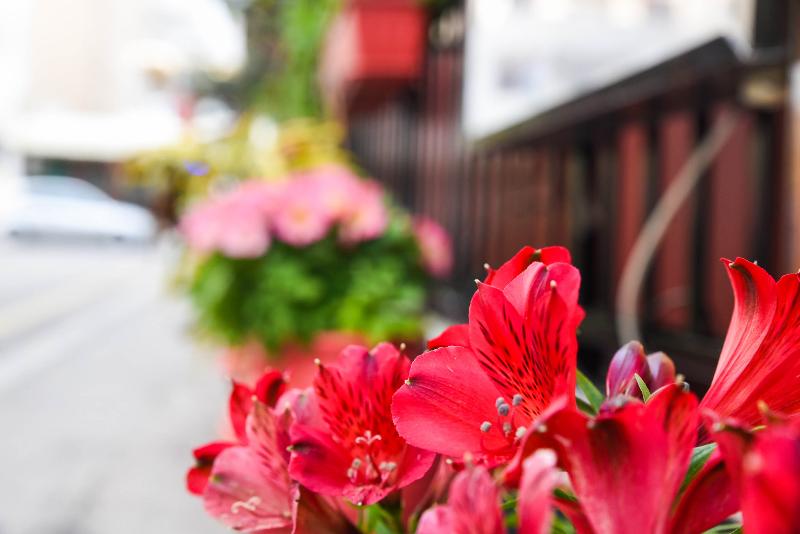 בית מלון כפרי Vassilia