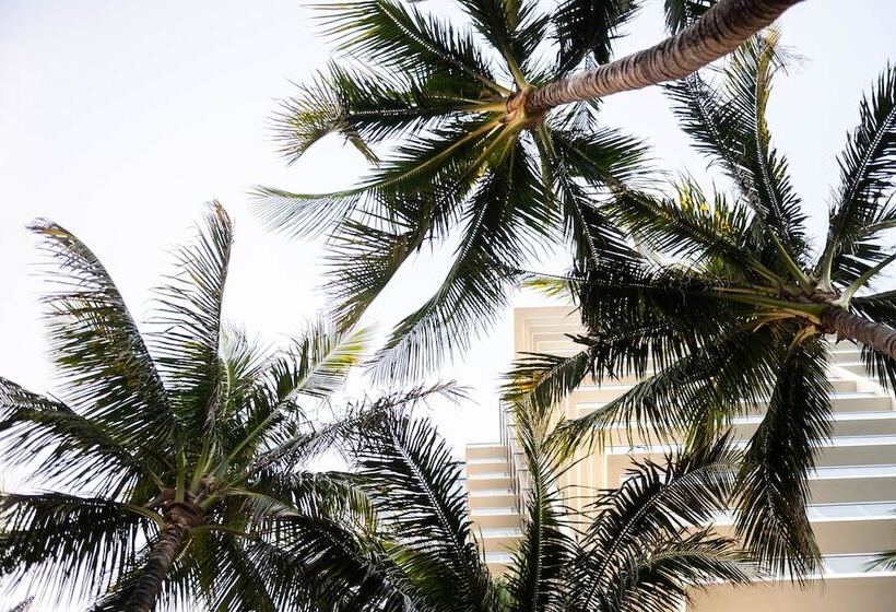 בית מלון כפרי W South Beach