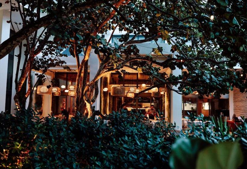 בית מלון כפרי W South Beach