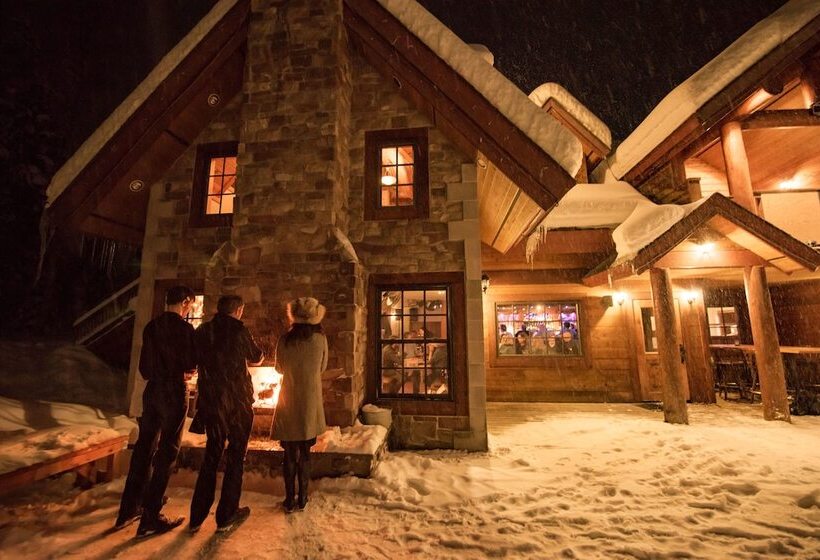 호텔 Winston Lodge