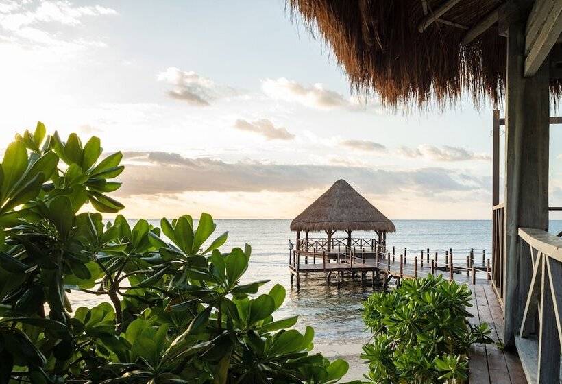 リゾートホテル Hyatt Ziva Riviera Cancun Allinclusive