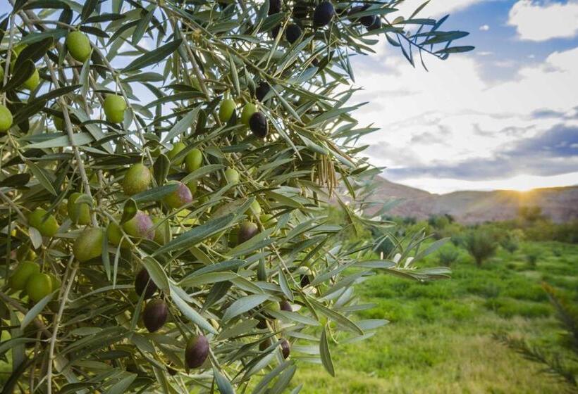 ריאדים Ksar Ighnda