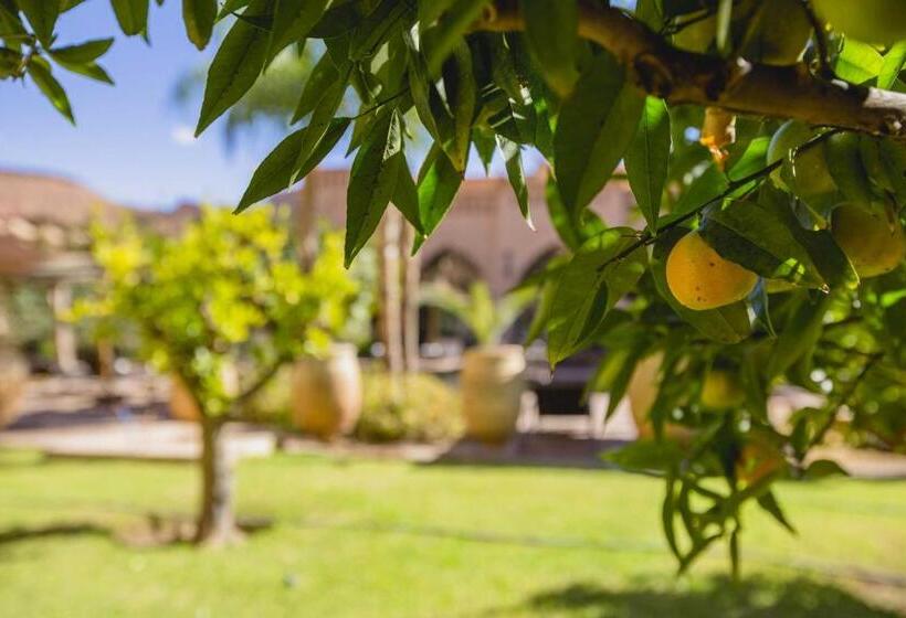 ריאדים Ksar Ighnda