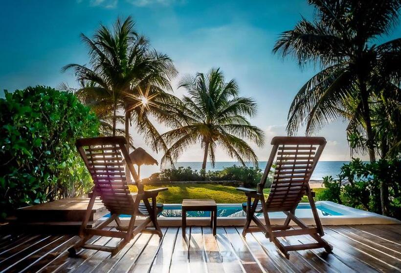 The Beachfront by The Fives Hotels - All Inclusive - Adults Only