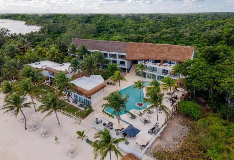 The Beachfront by The Fives Hotels - All Inclusive - Adults Only