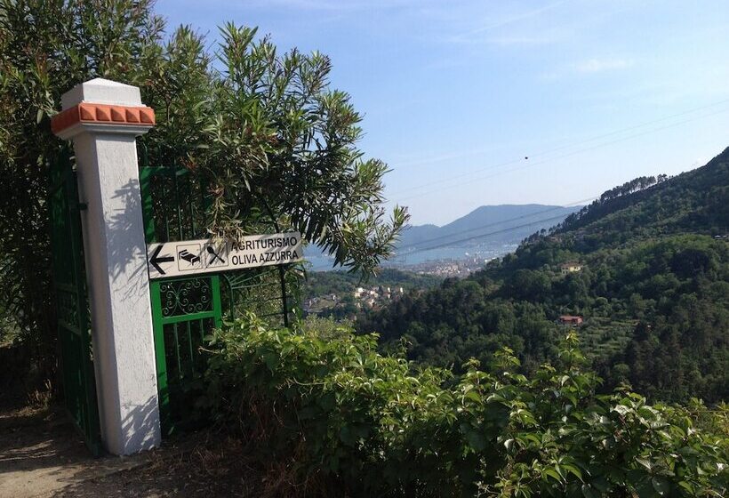 בית מלון כפרי Oliva Azzurra