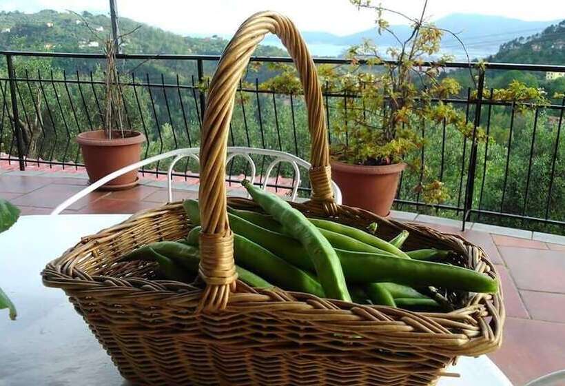 בית מלון כפרי Oliva Azzurra