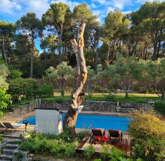 بنسيون Le Mas Des Anges