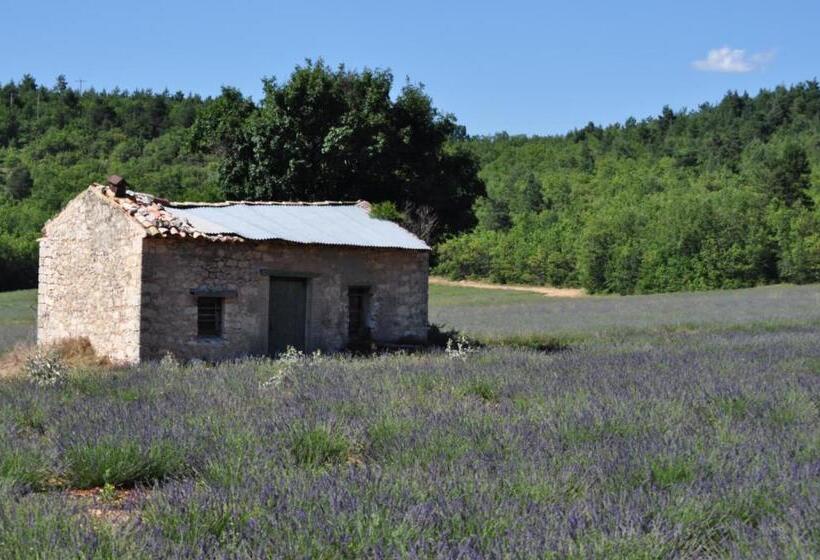 بنسيون Le Mas Des Anges