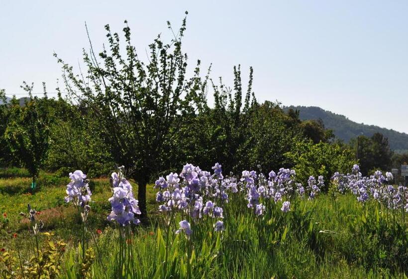 بنسيون Le Mas Des Anges