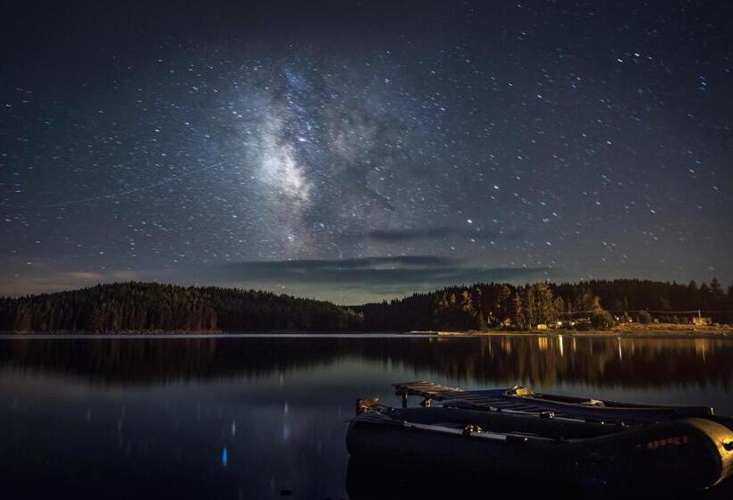 منتجع Romantica Forest Guest House