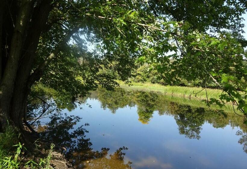 فندق صغير Salmon River Motel