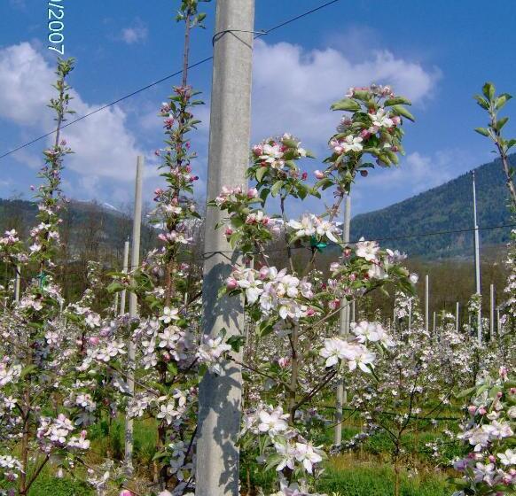 צימר Agritur Affittacamere Capra Mauro