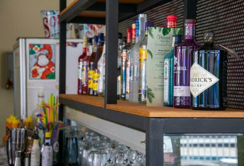 Отель Harriets Apartments