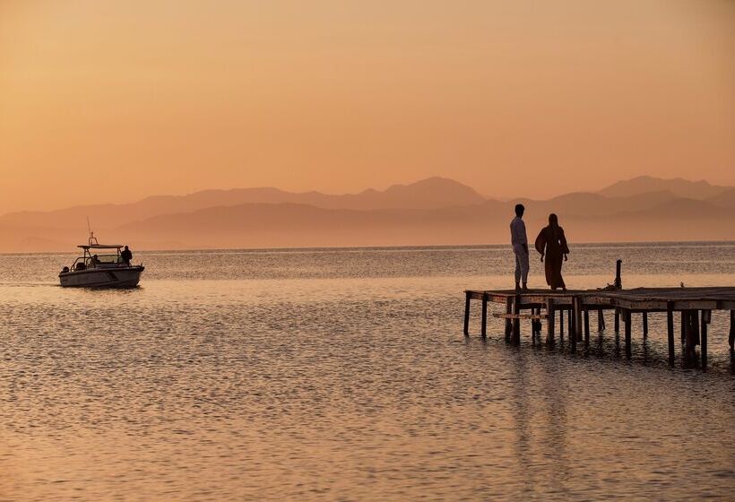 ホテル The Olivar Suites