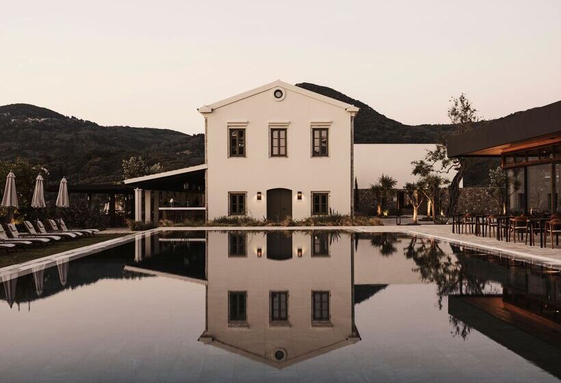 ホテル The Olivar Suites