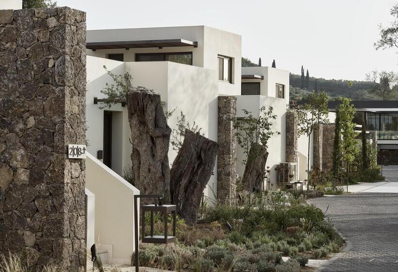 ホテル The Olivar Suites