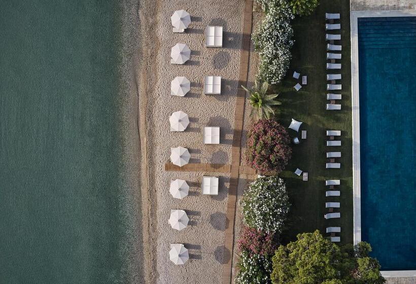 ホテル The Olivar Suites